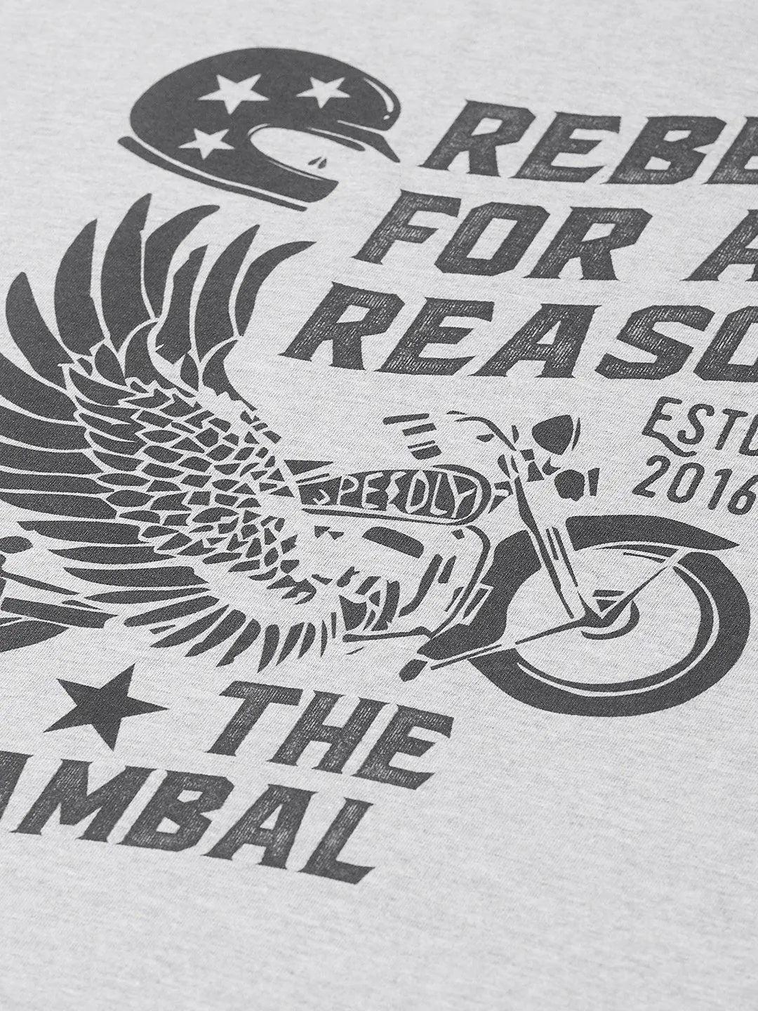 Rebel Reason Grey T-Shirt - The Chambal